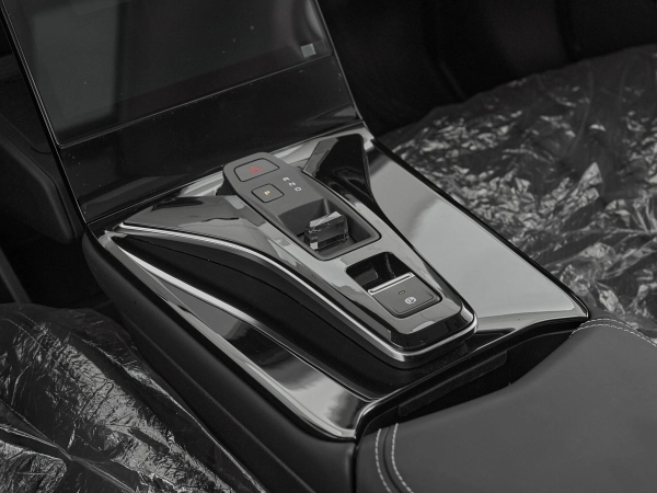Dongfeng Mage, I фото №15