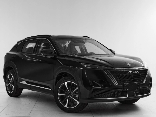 Dongfeng Mage, I фото №3