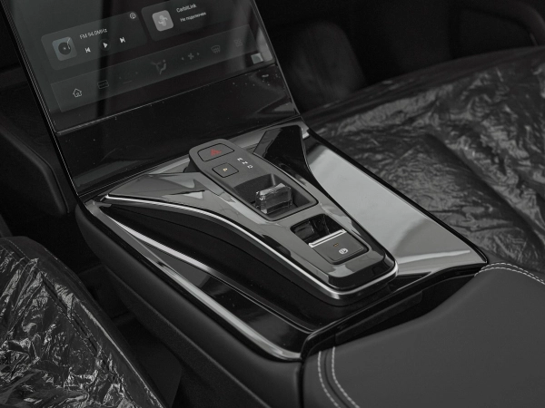 Dongfeng Mage, I фото №17