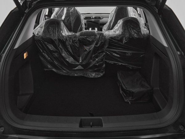 Dongfeng Mage, I фото №19