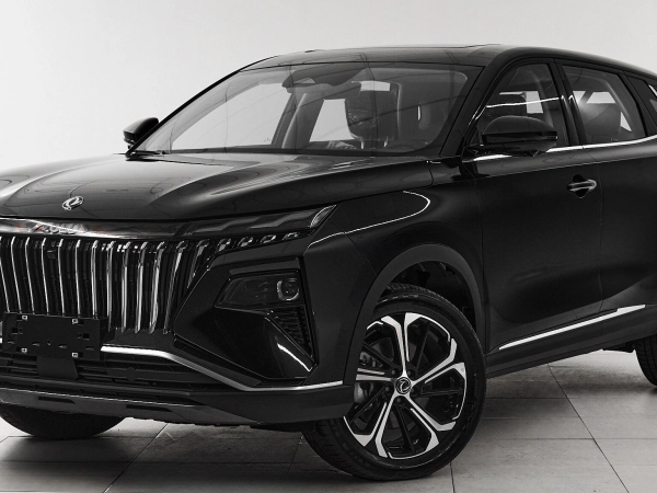 Dongfeng Huge, I фото №1