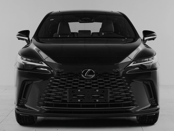 Lexus RX, V фото №2