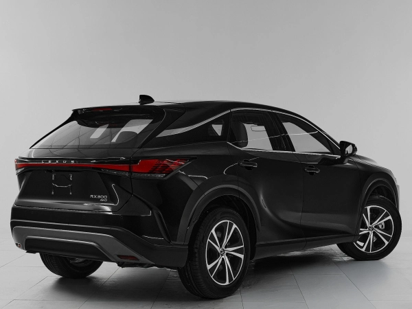 Lexus RX, V фото №6