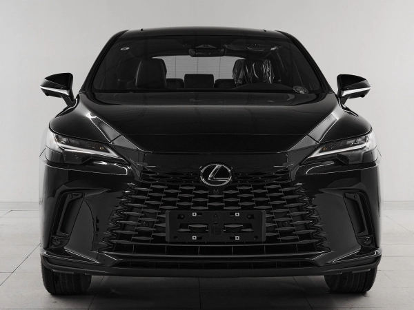 Lexus RX, V фото №2