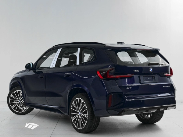 BMW X1, III (U11/U12) фото №4