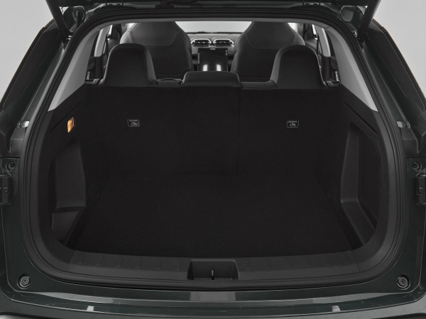 Dongfeng Mage, I фото №18