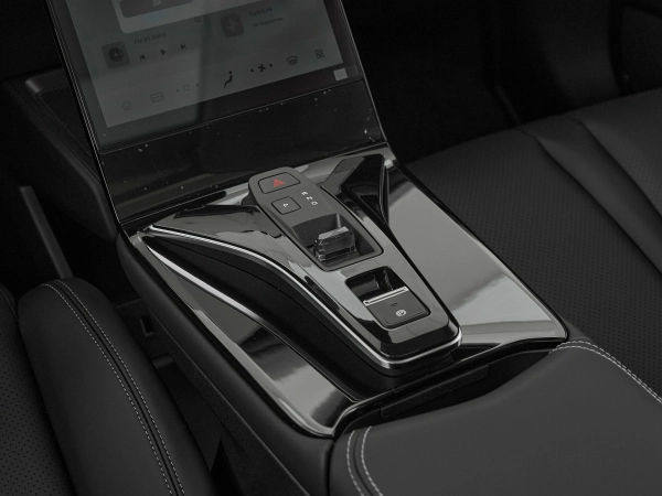 Dongfeng Mage, I фото №17
