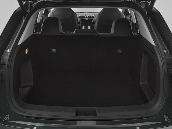 Dongfeng Mage, I фото №19