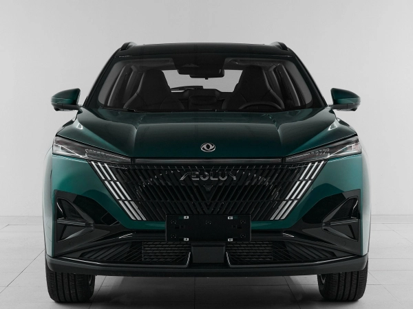 Dongfeng Mage, I фото №2