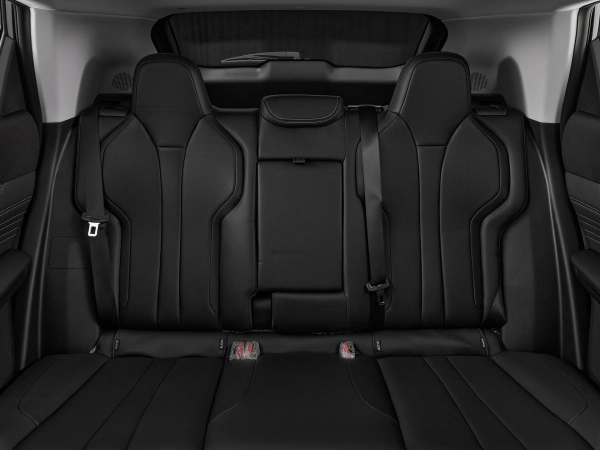 Dongfeng Mage, I фото №17