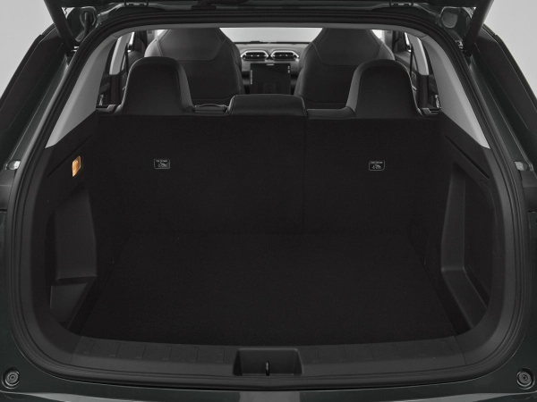 Dongfeng Mage, I фото №18