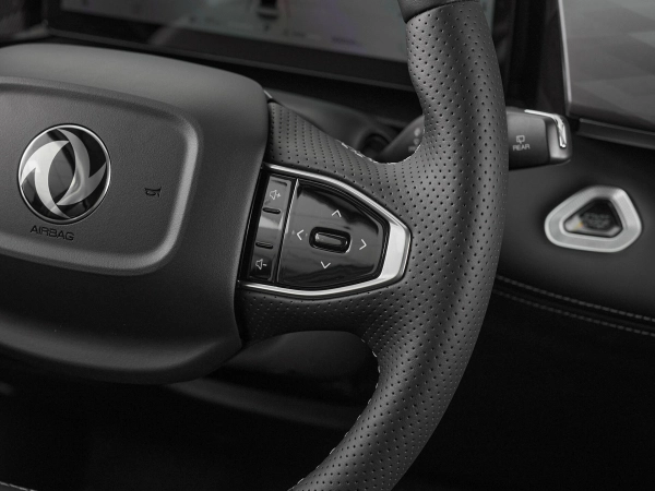 Dongfeng Mage, I фото №13