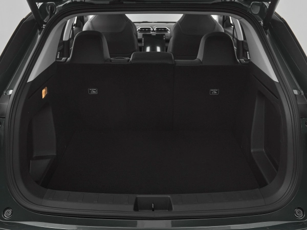 Dongfeng Mage, I фото №19