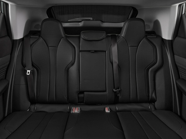 Dongfeng Mage, I фото №18