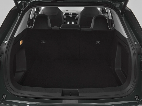 Dongfeng Mage, I фото №19