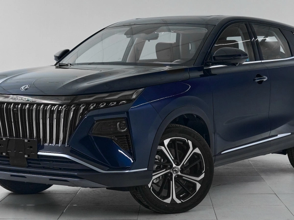 Dongfeng Huge, I фото №1