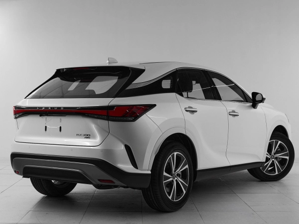 Lexus RX, V фото №6