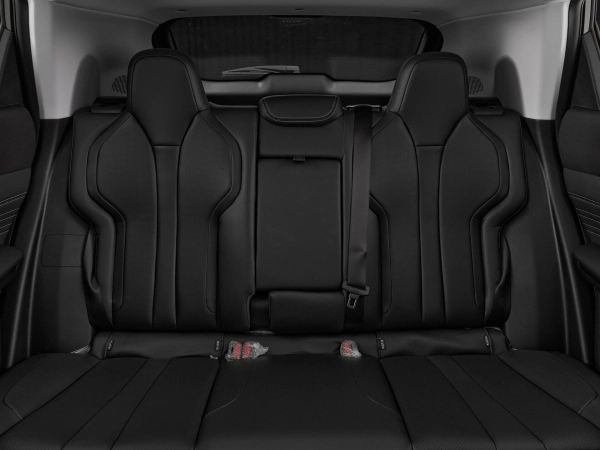 Dongfeng Mage, I фото №18