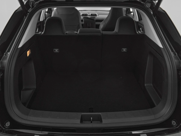 Dongfeng Mage, I фото №19