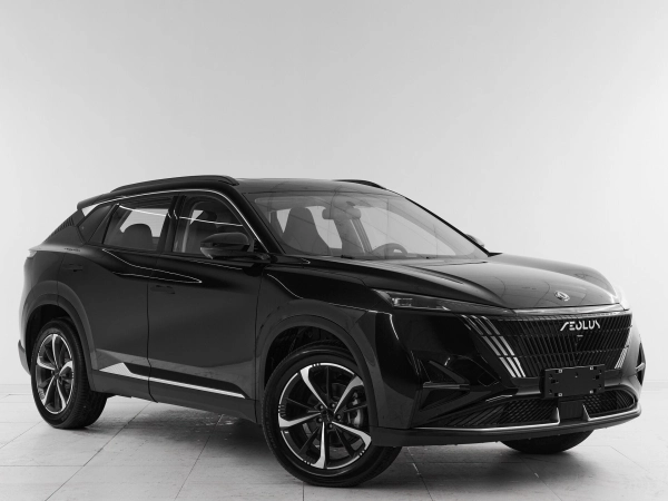 Dongfeng Mage, I фото №3