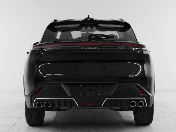 Dongfeng Mage, I фото №5