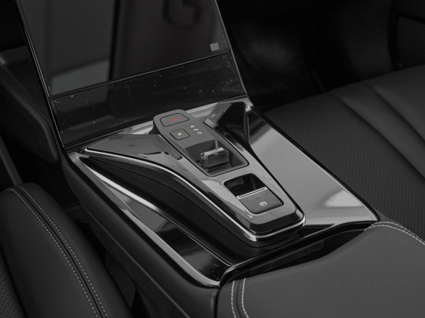 Dongfeng Mage, I фото №17