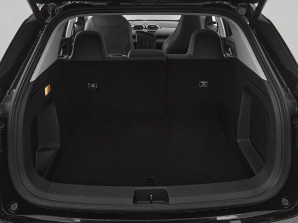 Dongfeng Mage, I фото №19