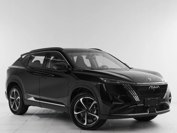 Dongfeng Mage, I фото №3