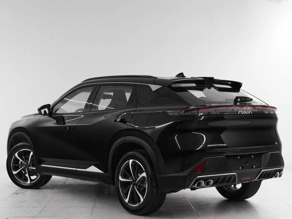 Dongfeng Mage, I фото №4