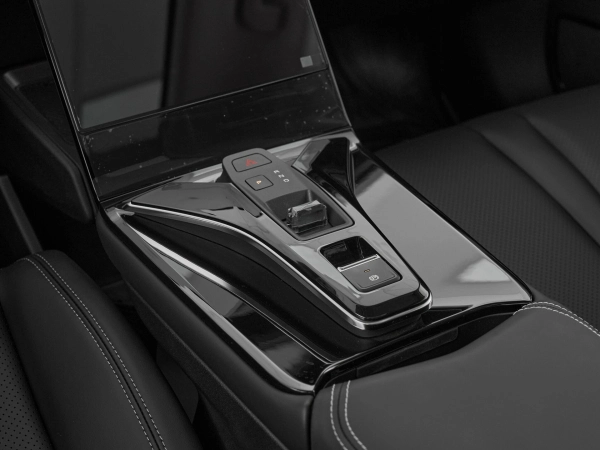 Dongfeng Mage, I фото №17