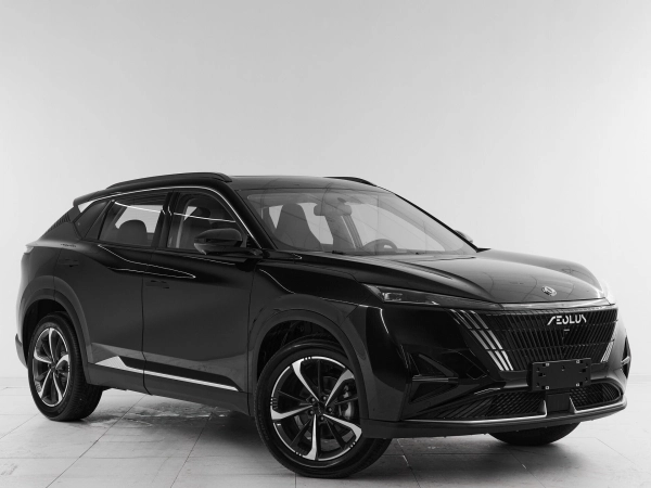 Dongfeng Mage, I фото №3