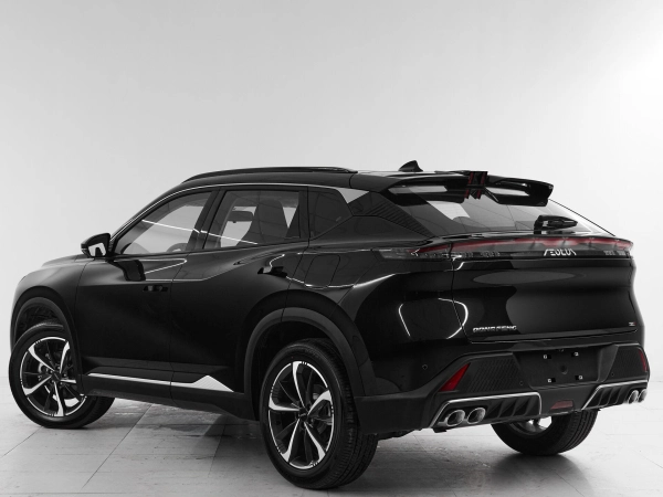 Dongfeng Mage, I фото №4