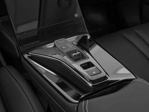 Dongfeng Mage, I фото №17