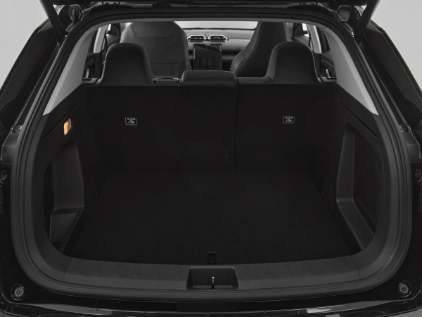 Dongfeng Mage, I фото №19