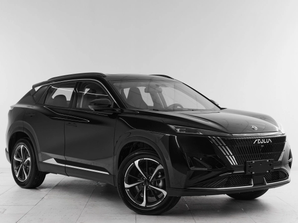 Dongfeng Mage, I фото №3