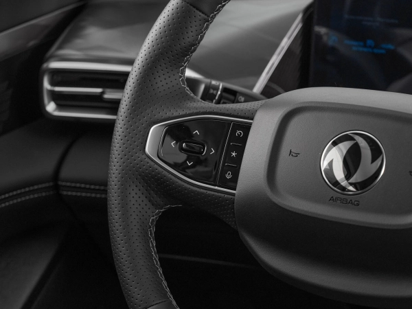 Dongfeng Mage, I фото №12