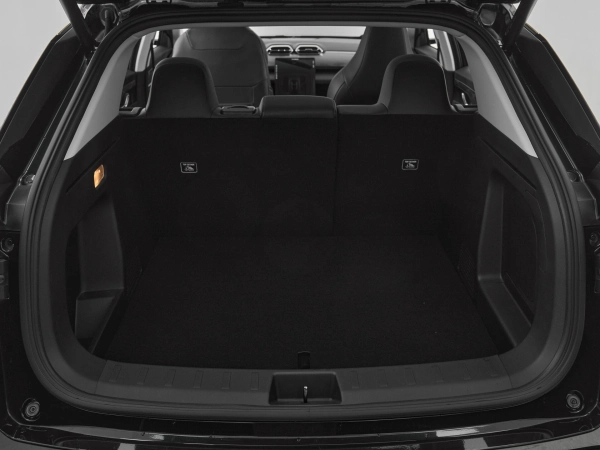 Dongfeng Mage, I фото №19