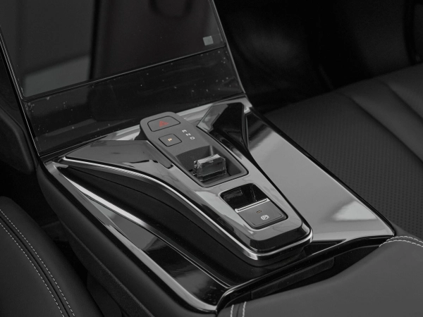 Dongfeng Mage, I фото №17