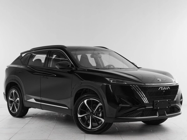 Dongfeng Mage, I фото №3