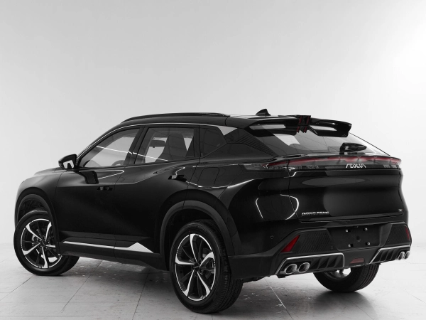 Dongfeng Mage, I фото №4