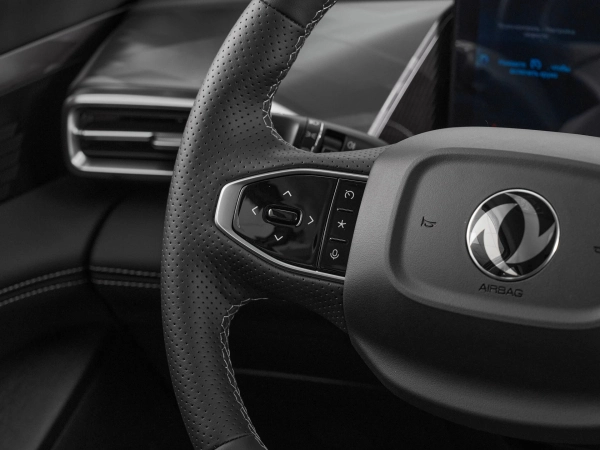 Dongfeng Mage, I фото №12