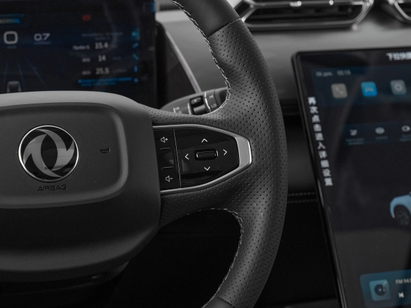Dongfeng Mage, I фото №13