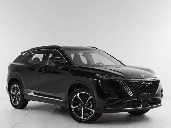Dongfeng Mage, I фото №3