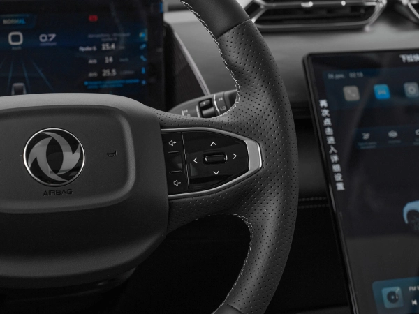 Dongfeng Mage, I фото №13