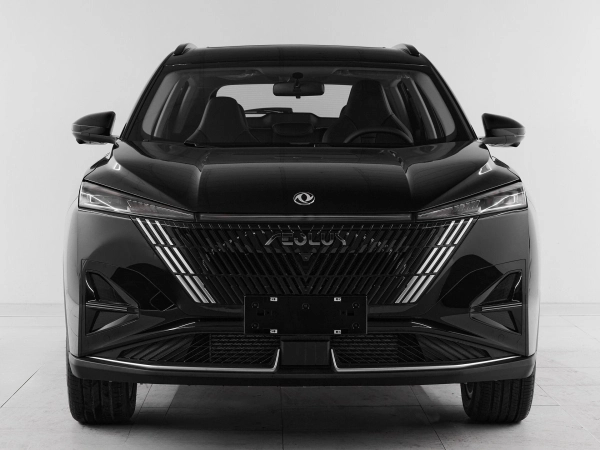 Dongfeng Mage, I фото №2
