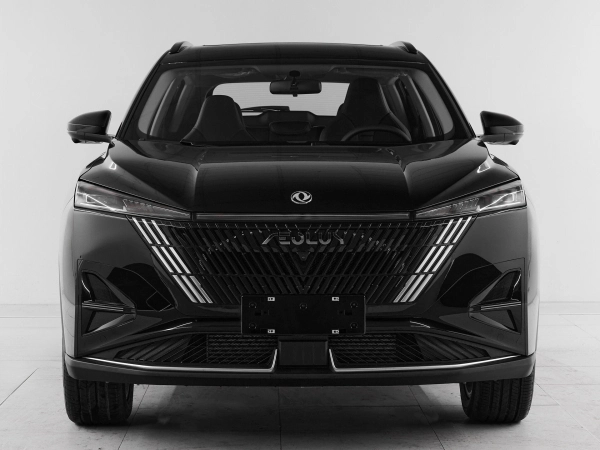 Dongfeng Mage, I фото №2