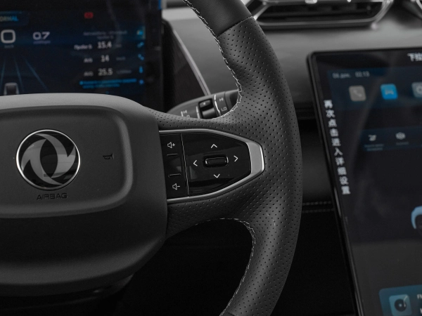 Dongfeng Mage, I фото №13