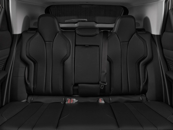 Dongfeng Mage, I фото №18