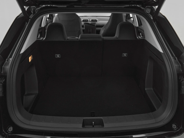 Dongfeng Mage, I фото №19