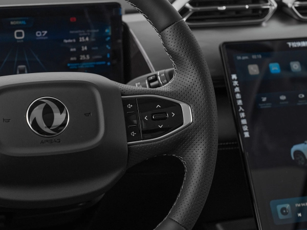 Dongfeng Mage, I фото №13